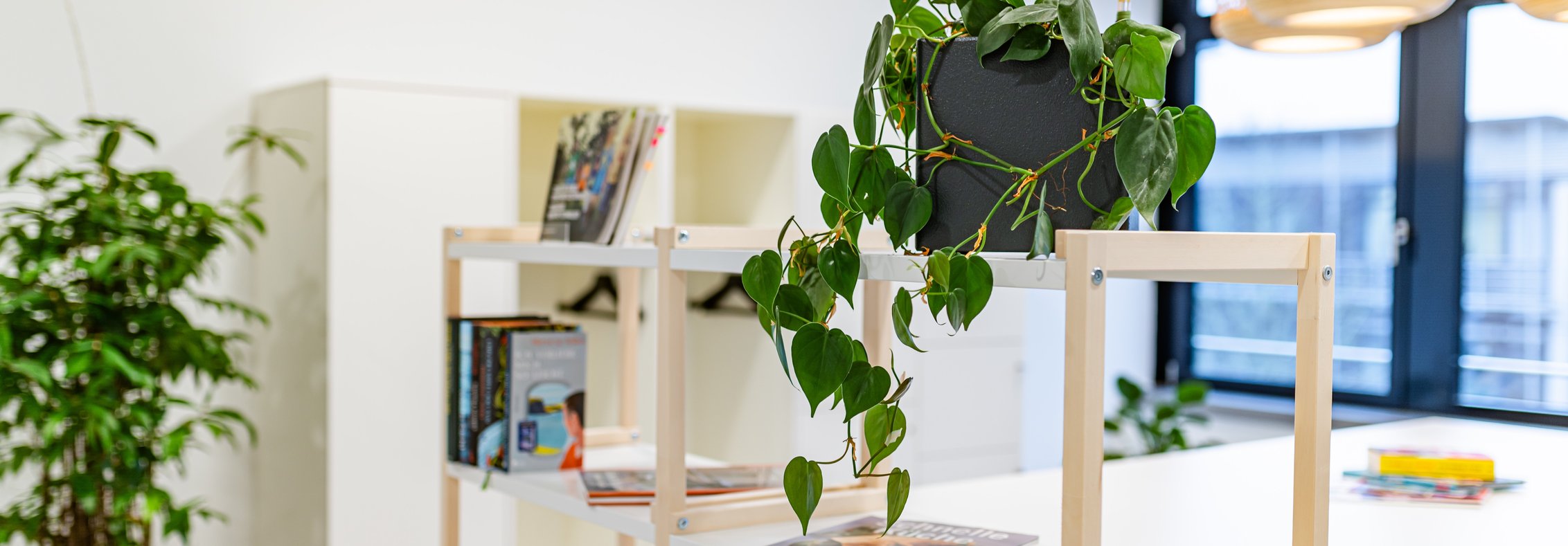 Bild aus dem Büro mit Blick auf einen Bücherstand und SItzmöglichkeit