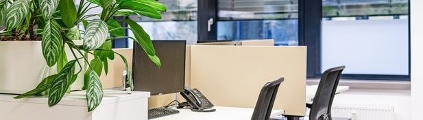 Photo showing two tidy workstations. A Plant is placed on the left hand side.
